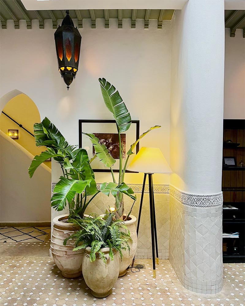 世界を旅する建築会社 カジャデザイン モロッコ マラケシュの旅「リヤド内に飾られていたグリーン」
