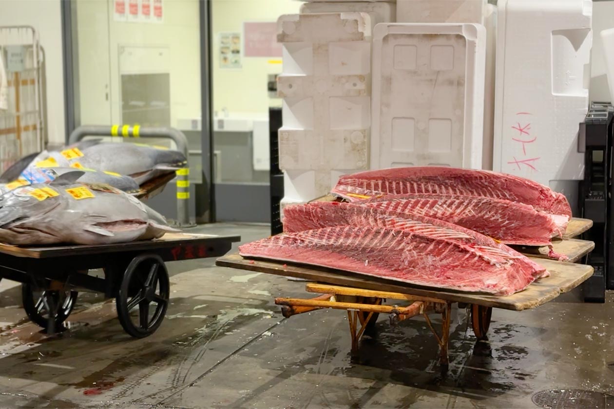 カジャデザイン 泊まれるモデルハウス リゾートハウスYUNI 豊洲市場に並ぶ解体されたマグロ